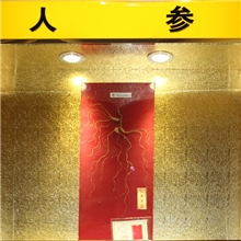 野山参东北长白山70年野生人参俊秀多姿野山参一级品质