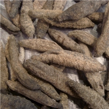 批发北极海参（北极参）野生海参180元/斤纯干海参淡干海参