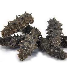 厂家直销无盐海参干货批发长岛刺参1100元/斤15-100头可选