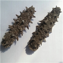 曌世高端刺参纯淡干野生海参海参干货绝不含糖无任何添加剂