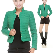 正品朗帝皇2013新款修身时尚小西装短款羽绒服厂家直销