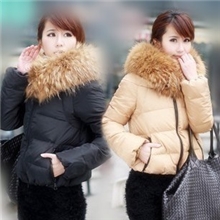 厂家供应2013年新品女装大毛领短款女式羽绒服女士羽绒服批发