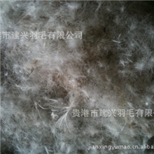 供应70%水洗灰鸭绒羽绒被羽绒服填充