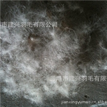 供应90%水洗灰鸭绒羽绒被羽绒服填充