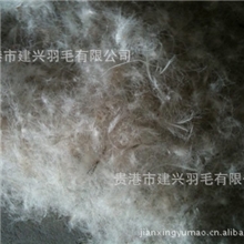 供应80%水洗灰鸭绒羽绒被羽绒服填充
