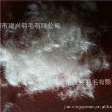 供应90%水洗白鸭绒羽绒被羽绒服填充