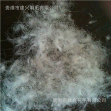 【质优价廉】厂家直供80%水洗白鹅绒羽绒被羽绒服填充