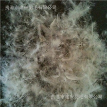 【质优价廉】厂家直供50%水洗白鹅绒羽绒被羽绒服填充