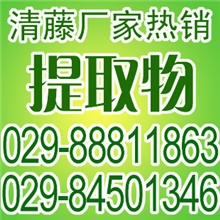 厂家现货|天然植物提取物补肾壮阳|淫羊藿甙