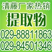 厂家现货|天然植物提取物原料|鹿根提取物