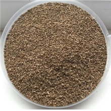 批发供应中药材中药饮片植物原药材芹菜籽芹菜子