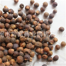 批发供应中药材无患子无患子皮洗手果