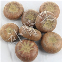 供应批发中药材风流果壮阳果天然补肾果泡酒料