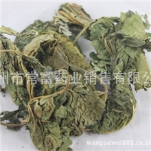 批发供应中药材/桑叶/桑叶饮片/霜桑叶/青桑叶/桑叶精细粉