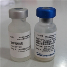 美国辉瑞犬五联四联八联疫苗/富道狂犬猫三联疫苗