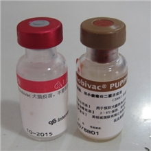 荷兰英特威犬二联疫苗/犬四联疫苗/犬六联疫苗/窝咳狂犬疫苗