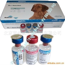 供应正品荷兰英特威犬五联活疫苗