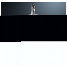 精美时尚艺术盆0624