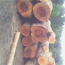 印尼四面刨光橡胶木