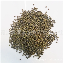 黄秋葵种子优质特色种子台湾五福秋葵种子一斤25元