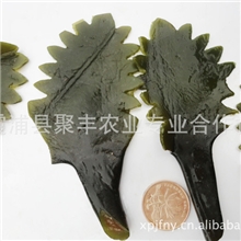 【聚丰】海带批发盐渍海带头花优质散装海带霞浦海带头