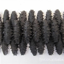 供应拉缸盐海参，刺参，价低好火候460元/斤，高压水发