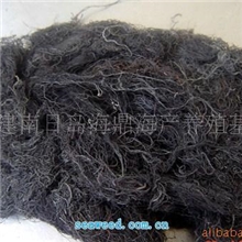 供应直销龙须菜