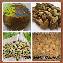 小豆蔻提取物|用于消化不良、呃逆、呕吐纯天然原料|专业厂家价格