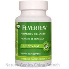 减轻偏头痛缓解风湿性关节炎缓解感冒症状进口天然小白菊胶囊