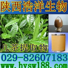 现货供应儿茶提取物/Erteaextract