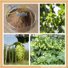 供应优质啤酒花提取物10:1啤酒花黄酮【健胃消食化痰止咳】