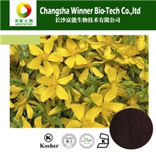 贯叶连翘提取物金丝桃素经验厂家低价供应现货医药保健品原料