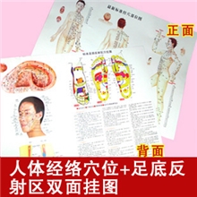 穴位图人体穴位挂图彩色经络穴位图经络图挂图批发