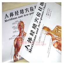 人体经络穴位挂图人体穴位图2张批发