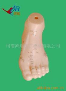 供应教学模型人体针灸模型13CM足针灸模型