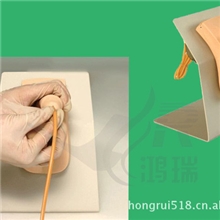 批发高级男性导尿模型