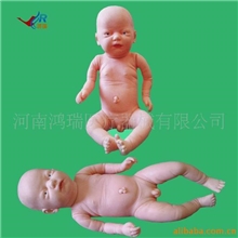 供应医学教学模型新型初生胎儿模型