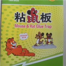 厂家直销超低价强力粘鼠纸灭鼠器