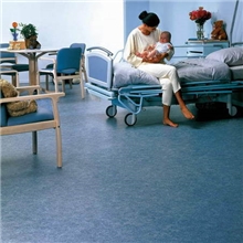 韩国LG彩宝系列地板地胶地板胶办公教育儿童场所PVC卷材地板