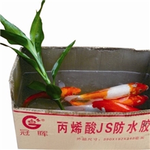 厂家直销丙烯酸JS复合物K11防水材料可覆盖裂缝K11防水涂料浆料