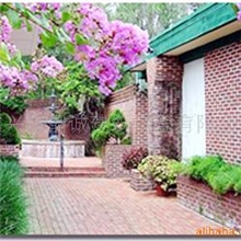 供应手工拉毛砖内外墙陶砖