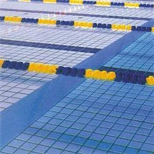 供应河北高新全瓷广场砖园林砖便道砖15*15颜色齐全