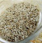 批发零售中药材生菜籽