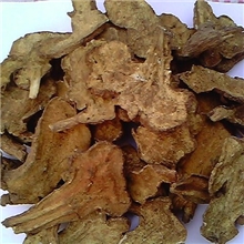 供应各种中药材中药饮片白术、炒白术