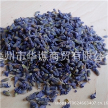 新疆特级薰衣草干花薰衣草花薰衣草花茶熏衣草花