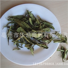供应花草茶甜菊叶特级甜叶菊茶