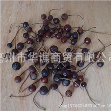 营实/蔷薇子/野蔷薇子/石珊瑚