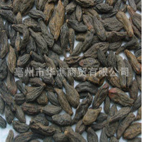 西青果2010版中国药典标准