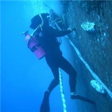 供应堵漏灵质优价廉保证品质厂家直销