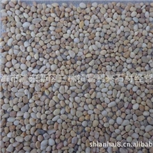 三宝黄网贴石自由石